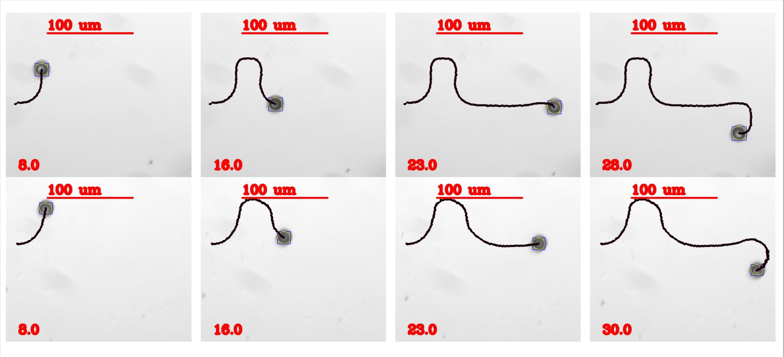 Microrobots moving along a substrate